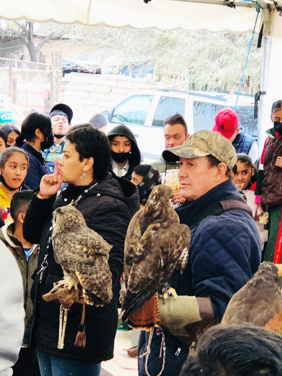 Todo un éxito el Séptimo Festival del Águila Real en Villa de Reyes