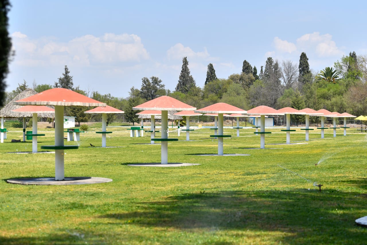 TRANSFORMARÁN GOGORRON