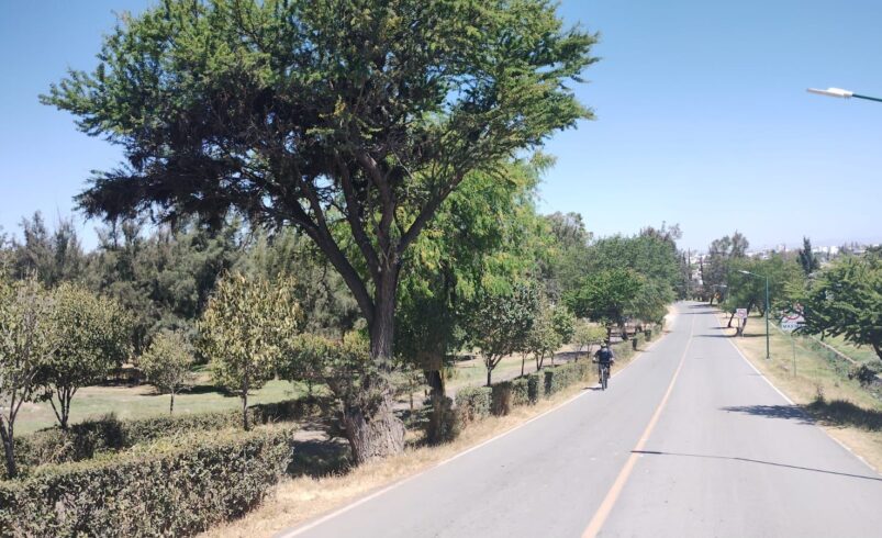 POR FUERTES VIENTOS, CIERRA PROTECCIÓN CIVIL PARQUES TANGAMANGA Y SE MANTIENE ALERTA PARA BRINDAR ATENCIÓN