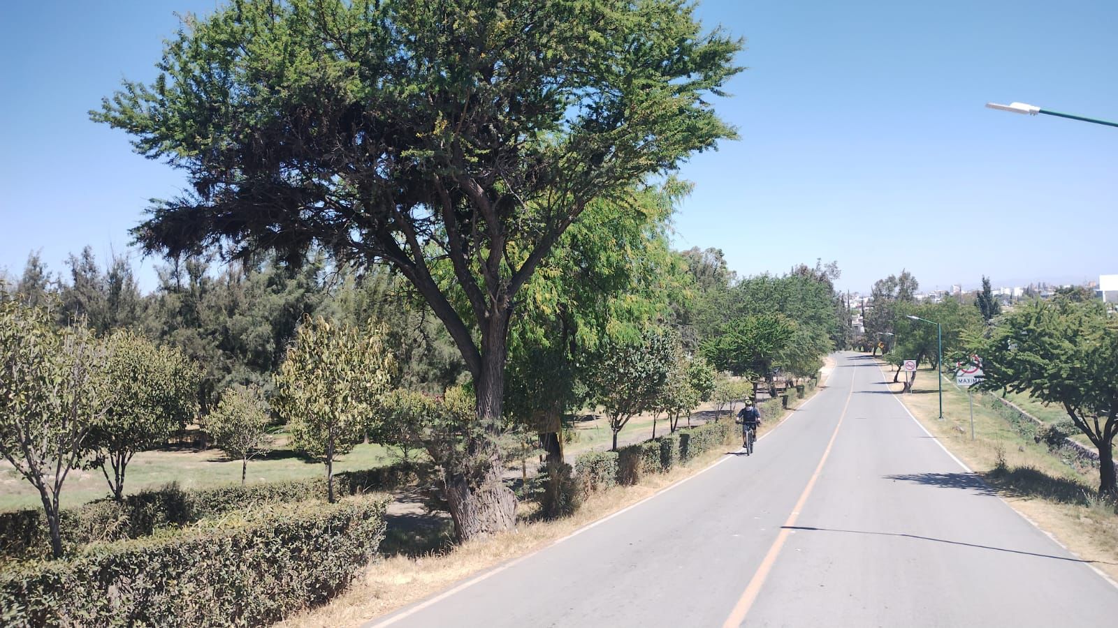 POR FUERTES VIENTOS, CIERRA PROTECCIÓN CIVIL PARQUES TANGAMANGA Y SE MANTIENE ALERTA PARA BRINDAR ATENCIÓN