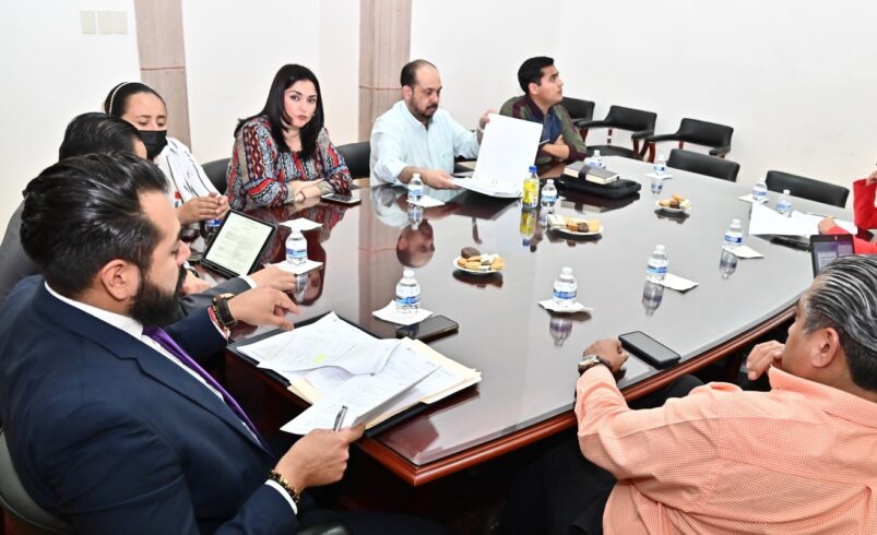 SESIONA MECANISMO ESTATAL PARA LA PROTECCIÓN DE DEFENSORES DE DERECHOS HUMANOS Y PERIODISTAS