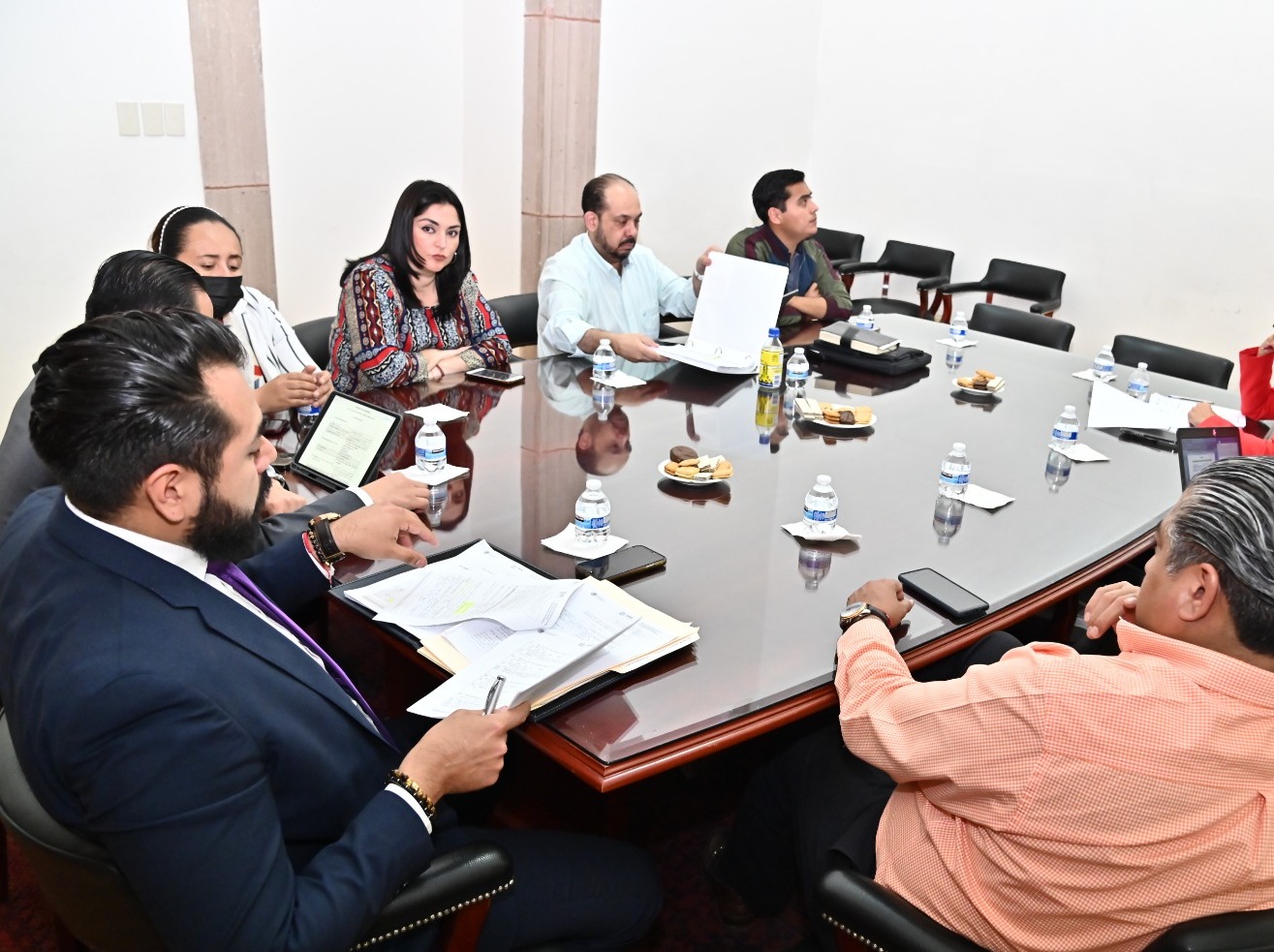 SESIONA MECANISMO ESTATAL PARA LA PROTECCIÓN DE DEFENSORES DE DERECHOS HUMANOS Y PERIODISTAS