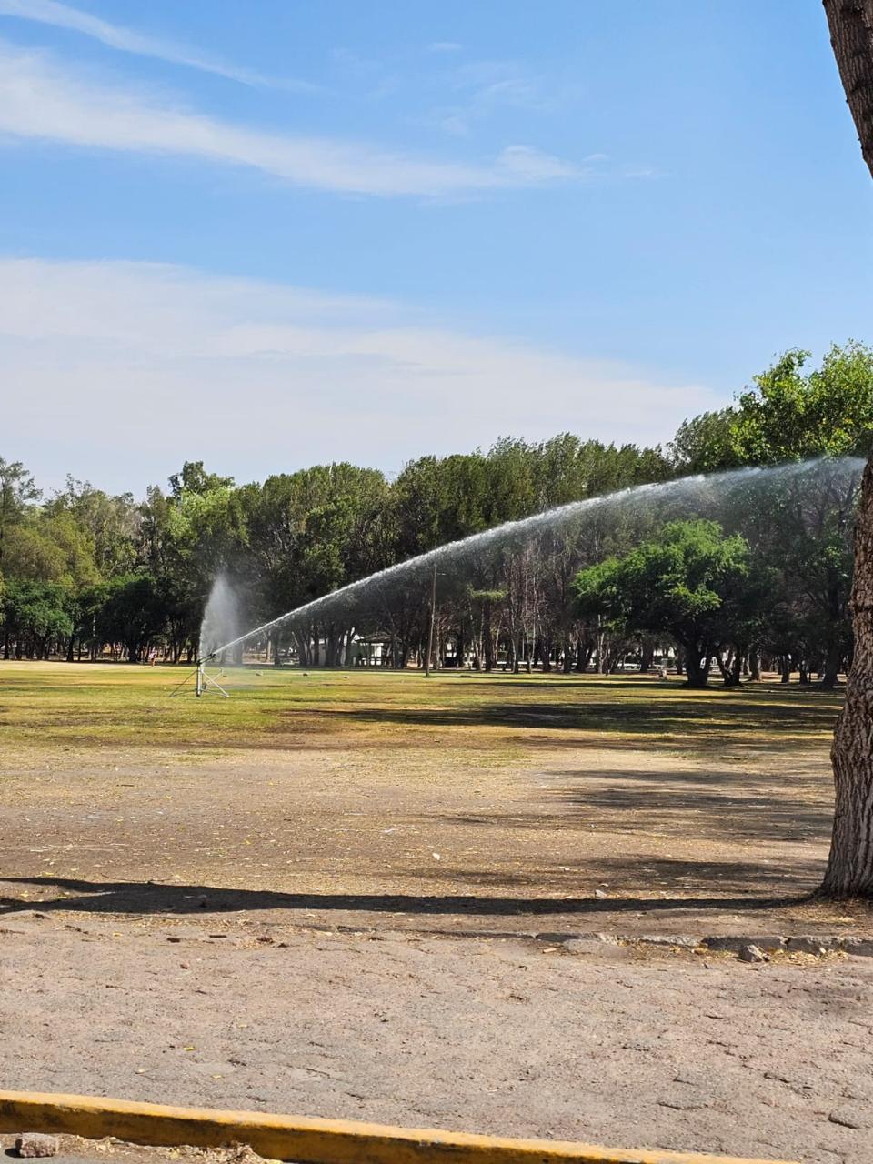 PARQUES ESTATALES EN ÓPTIMAS CONDICIONES PARA DISFRUTE DE LAS FAMILIAS