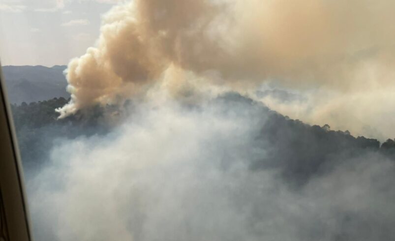 AUTORIDADES DE LOS TRES NIVELES DE GOBIERNO COMBATEN INCENDIO FORESTAL EN SANTA MARÍA DEL RÍO