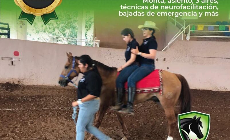 GOBIERNO ESTATAL ABRE CONVOCATORIA PARA CERTIFICACIÓN EN EQUINOTERAPIA