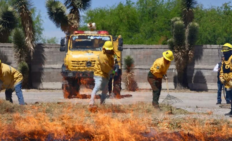 HABRÁ MEDIDAS FIRMES CONTRA QUIENES PROVOQUEN INCENDIOS FORESTALES