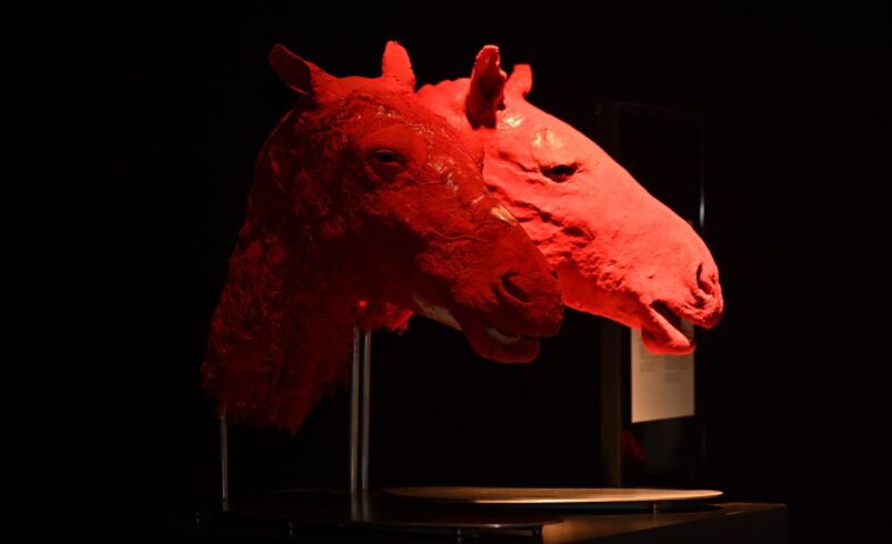 GOBIERNO ESTATAL INVITA A VIVIR UN FIN DE SEMANA DE CULTURA Y DIVERSIÓN 