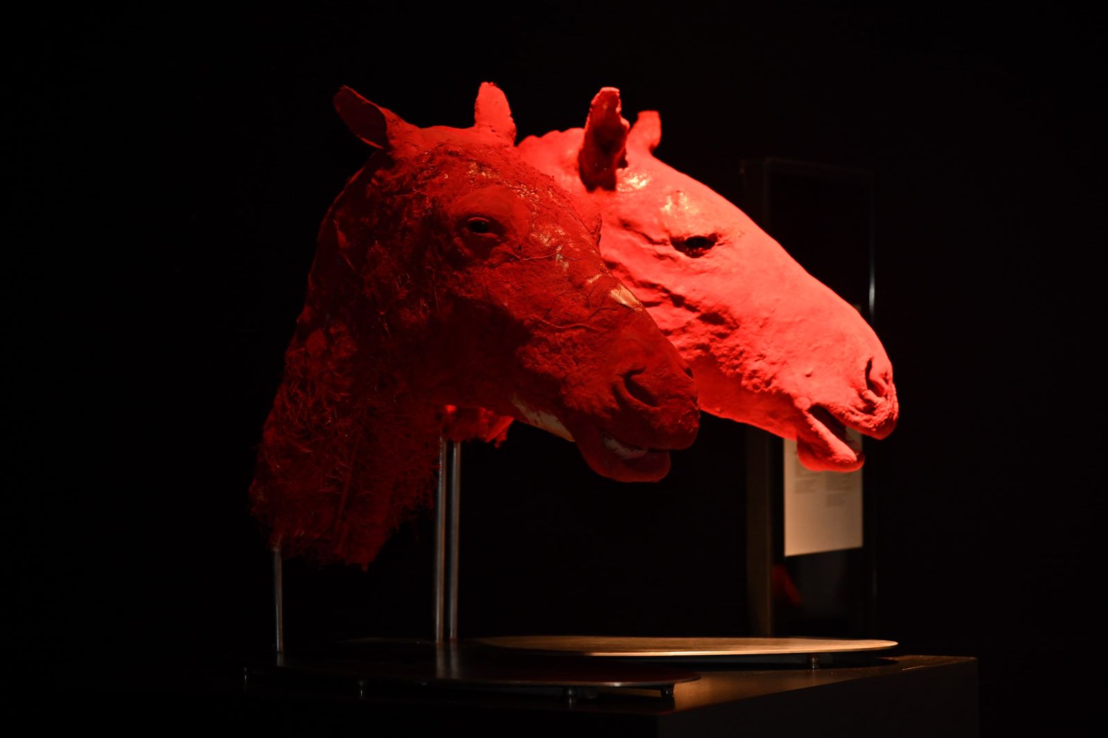 GOBIERNO ESTATAL INVITA A VIVIR UN FIN DE SEMANA DE CULTURA Y DIVERSIÓN 