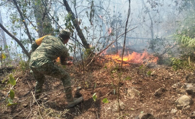 EJERCITO MEXICANO INTENSIFICA COMBATE A INCENDIOS FORESTALES