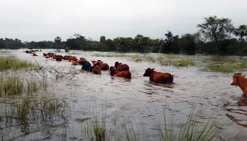 GOBIERNO ESTATAL REFRENDA APOYO AL CAMPO POTOSINO TRAS LLUVIAS