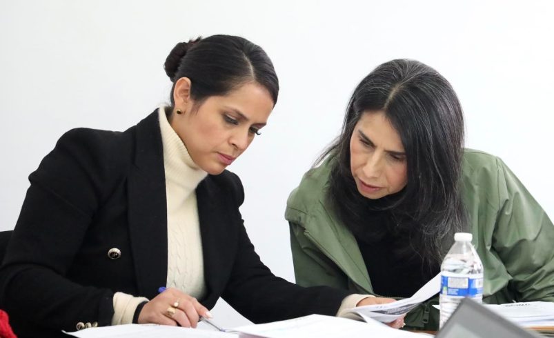 GOBIERNO AVANZA EN ORDEN Y DESEMPEÑO INSTITUCIONAL
