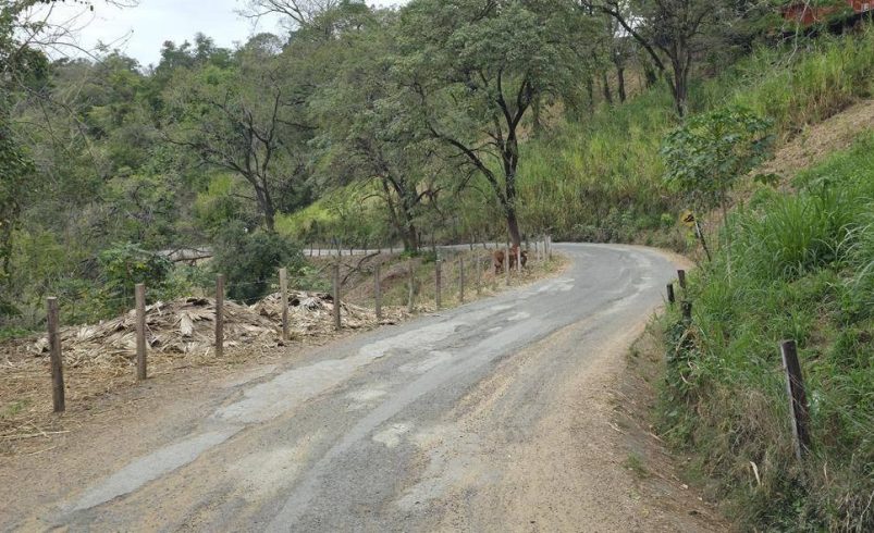 RICARDO GALLARDO FORTALECE CAMINOS