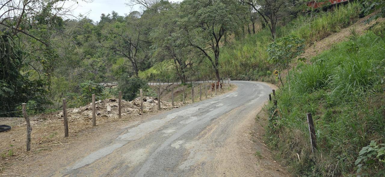 RICARDO GALLARDO FORTALECE CAMINOS