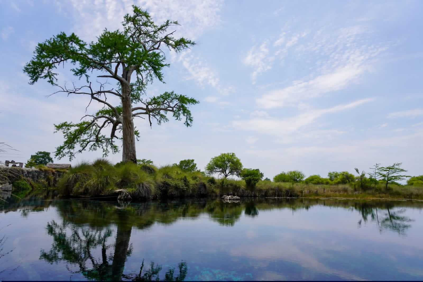GOBIERNO ESTATAL IMPULSA PROTECCIÓN AL MANANTIAL LOS PEROLES