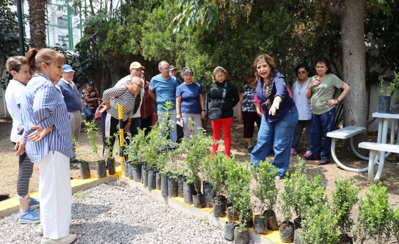 GOBIERNO ESTATAL FOMENTA PARTICIPACIÓN DE ADULTOS MAYORES EN EL CUIDADO AMBIENTAL