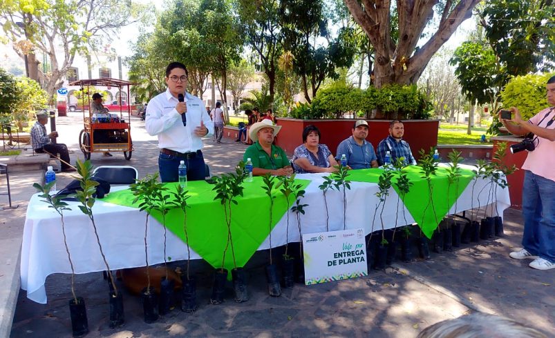 ESTADO FORTALECE SU ENTORNO CON REFORESTACIÓN PRODUCTIVA