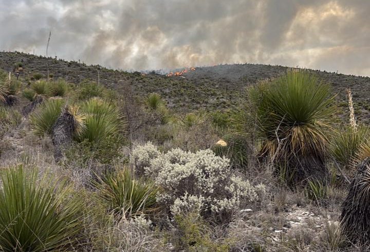 GOBIERNO ESTATAL REFUERZA COMBATE A INCENDIO EN CHARCAS